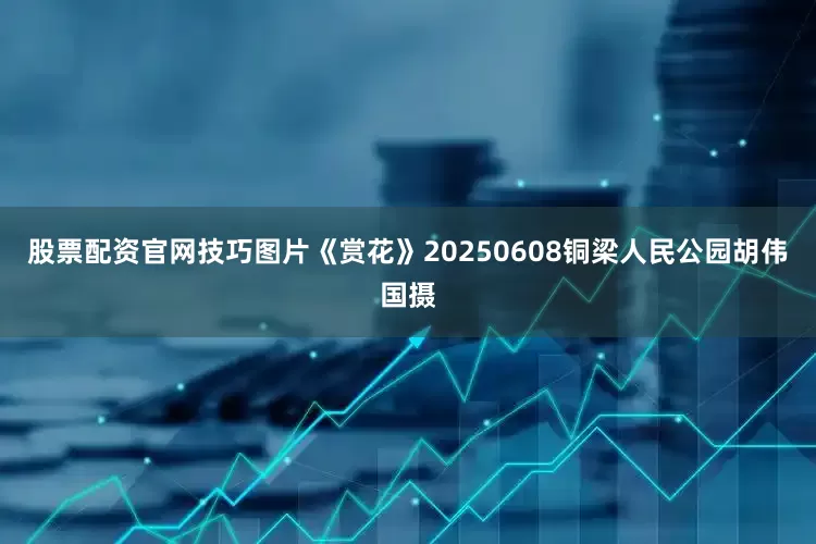 股票配资官网技巧图片《赏花》20250608铜梁人民公园胡伟国摄