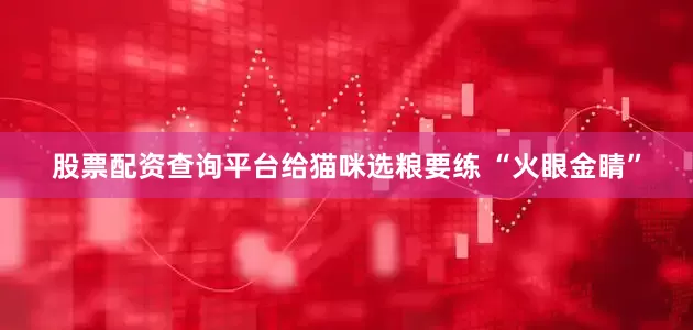 股票配资查询平台给猫咪选粮要练 “火眼金睛”