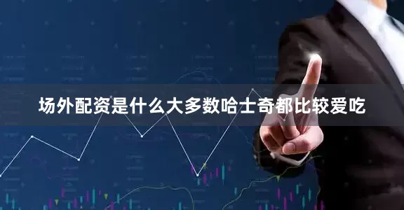 场外配资是什么大多数哈士奇都比较爱吃