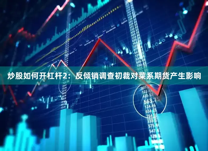 炒股如何开杠杆　　2：反倾销调查初裁对菜系期货产生影响