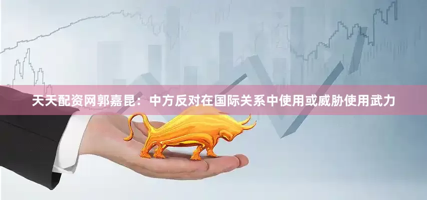 天天配资网郭嘉昆：中方反对在国际关系中使用或威胁使用武力